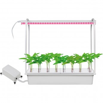 Набор для гидропоники UNIEL ULT-P44A-10W/SPSB IP40 AQUA WHITE "Минисад AQUA" Набор для гидропоники UNIEL ULT-P44A-10W/SPSB IP40 AQUA WHITE "Минисад AQUA"