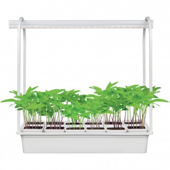 Подставка UNIEL UFP-G34S WHITE 12 Подставка UNIEL UFP-G34S WHITE 12