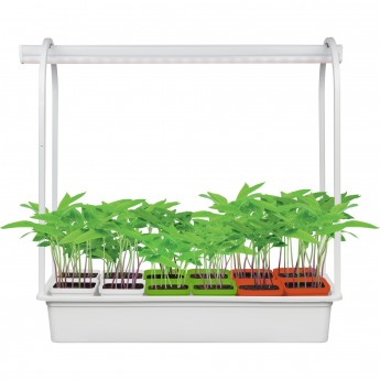 Подставка UNIEL UFP-G34S WHITE MIX 12 Подставка UNIEL UFP-G34S WHITE MIX 12