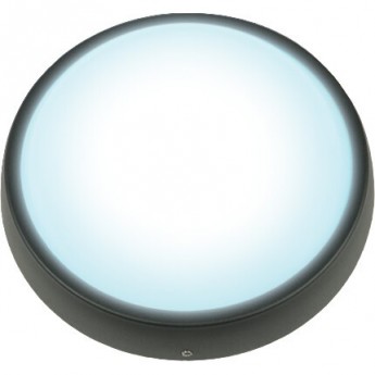 Светильник UNIEL ULW-R02-7W/DW IP54 BLACK